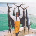Mark the Shark & 6 sailfish!