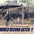 WORLD RECORD CATCH!