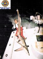 thumb db Mark the Shark   RARE THRESHER-11