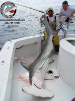 thumb J R  EMBOIDERY-1