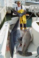 thumb MAKO T-HEAD Mark the Shark