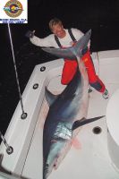 thumb MARK the SHARK MONSTER MAKO