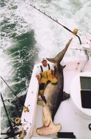 thumb monster T-head12