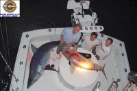 thumb MONSTER MAKO 4