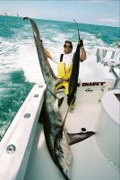 thumb MARK THE SHARK with MIAMI THRESHER CATCH