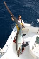 thumb MONSTER THRESHER-13