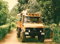 thumb MARK THE SHARK in BOM BOM AFRICA