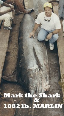 Mark the SHARK & african blue marlin.jpg