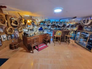 Sea Life and Shark Museum
 