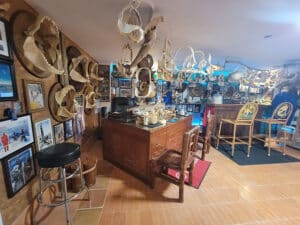 Sea Life and Shark Museum
 