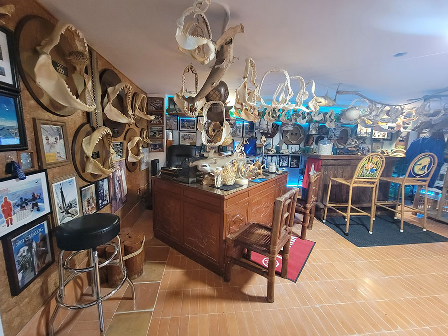 Sea Life and Shark Museum
 