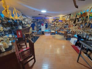 Sea Life and Shark Museum
 