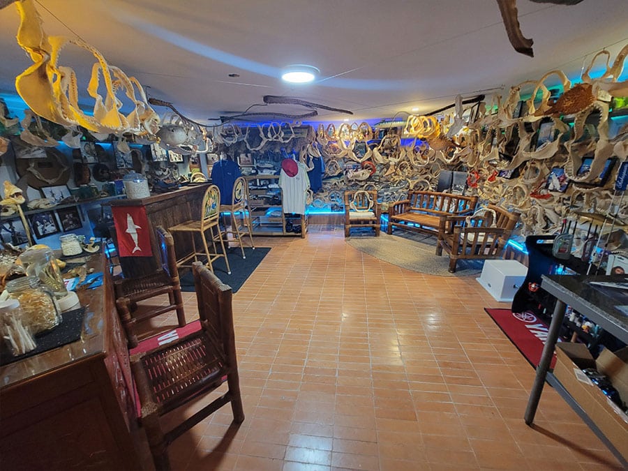 Sea Life and Shark Museum
 