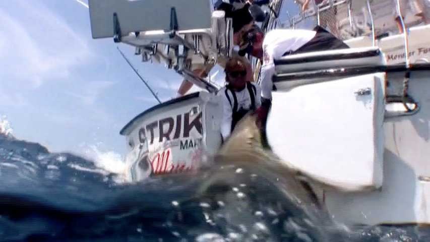 video-of-the-month3 picture of the month