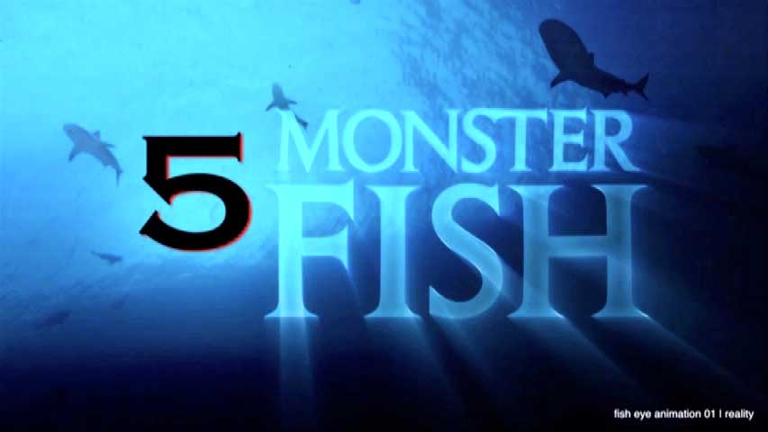 video-of-the-month4 picture of the month